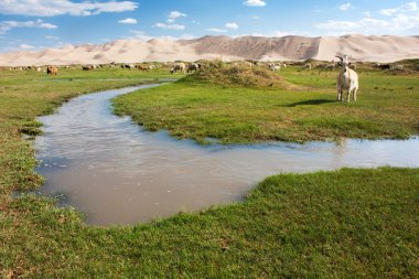 Oasis and dune with goats clipart