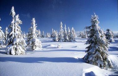 Wintry landscape scenery from Krkonose - Giant mountains clipart