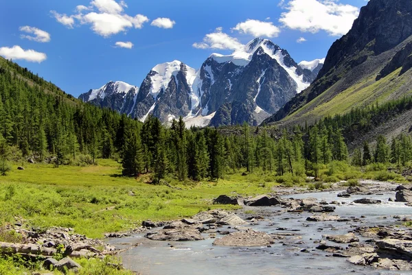 Savlo szavlo vallée et paroi rocheuse - altaï montagnes russie — Photo