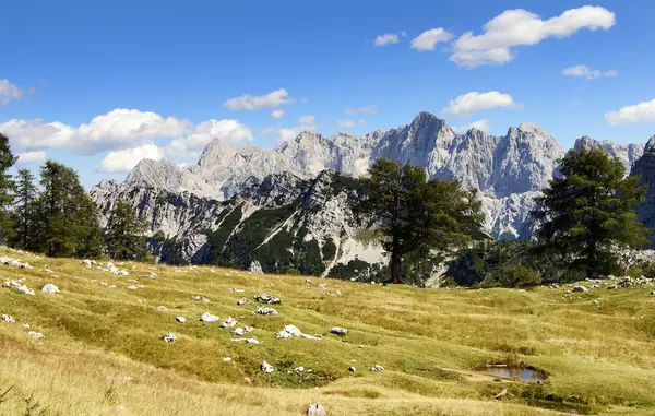 Вид з Юліанських Альп - Триглавський національний парк Словенія Європа — стокове фото