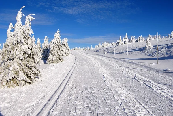 Trilha de esqui na montanha jesenik República Checa — Fotografia de Stock