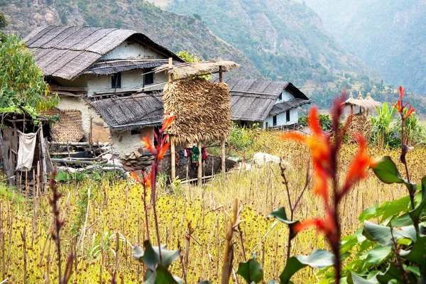 Втулкою - counryside Непал — стокове фото