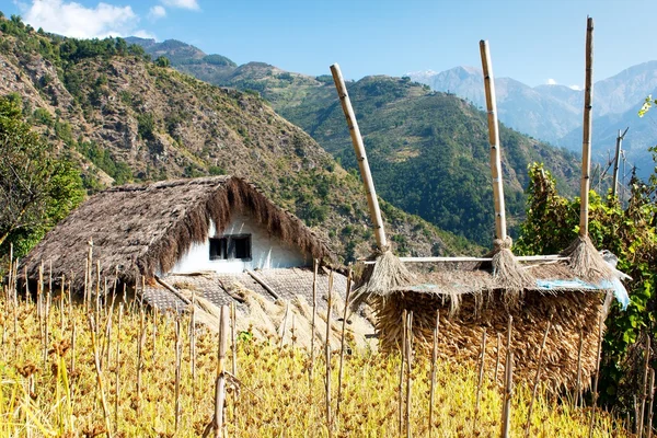 Bung - El campo de Nepal —  Fotos de Stock