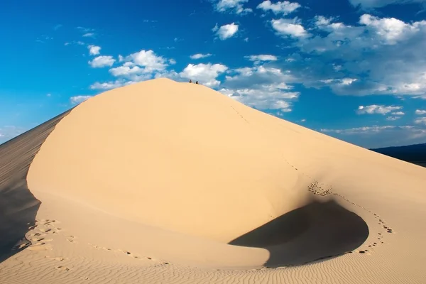 Desert - mongolia — Stock Photo, Image