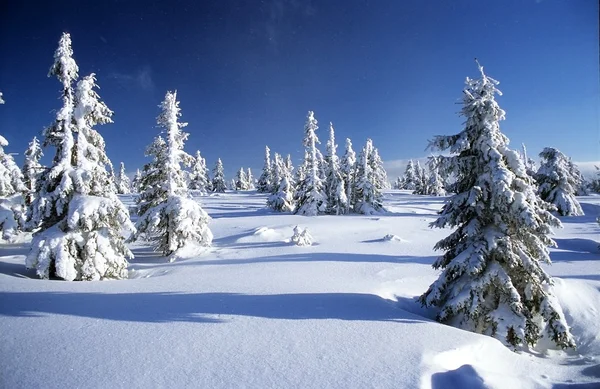 Winterliche Landschaft vom Riesengebirge aus — Stockfoto