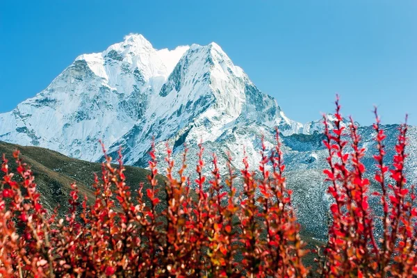 Stock image Ama Dablam