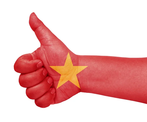 越南国旗拇指向上的手势上喜欢的图标 — 图库照片