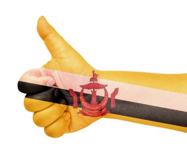 Brunei flag on thumb up gesture like icon clipart