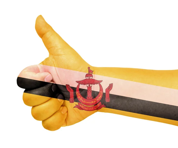 文莱国旗拇指向上的手势上喜欢的图标 — 图库照片