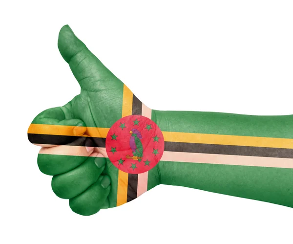 Dominica flag on thumb up gesture like icon — Stock Photo, Image