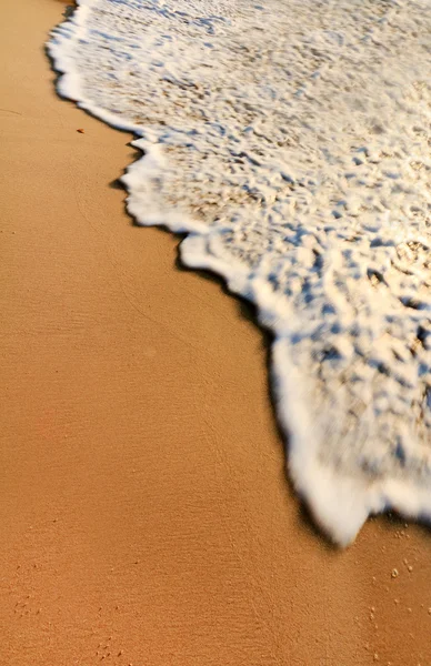 Wave splash on a beach — Stock Photo, Image
