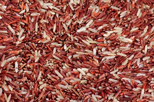 Thai jasmine brown rice — Stock Photo, Image