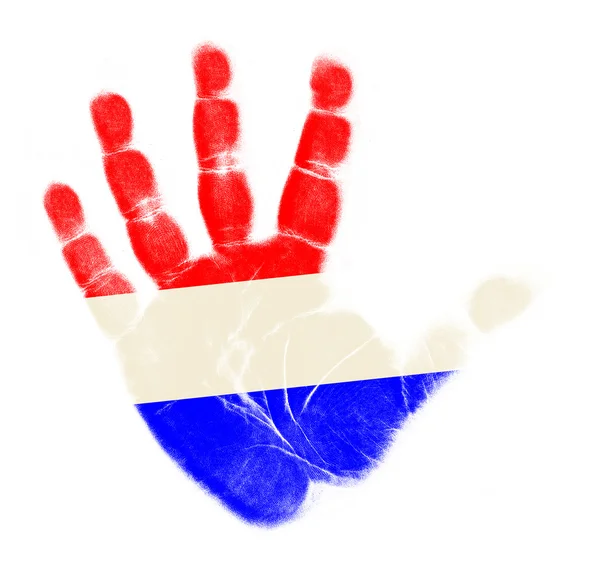 Bandeira holandesa impressão da palma isolada sobre fundo branco — Fotografia de Stock