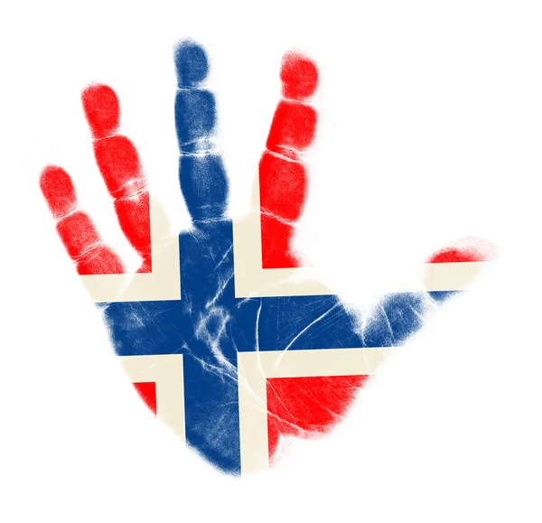 Bandera de Noruega impresión de palma aislada sobre fondo blanco — Foto de Stock