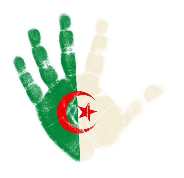 Bandera de Argelia impresión de palma aislada sobre fondo blanco —  Fotos de Stock