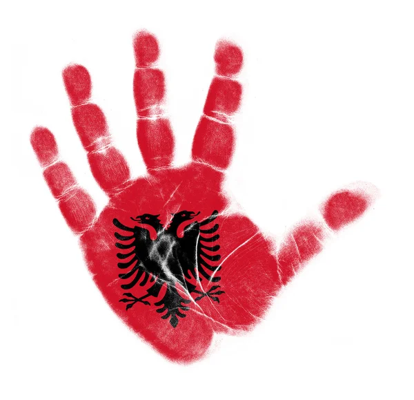 Bandera de Albania impresión de palma aislada sobre fondo blanco —  Fotos de Stock