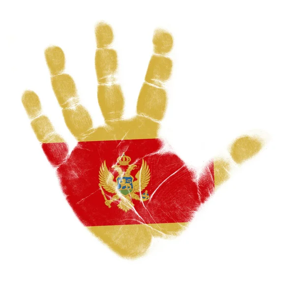 Montenegro Bandera impresión de palma aislada sobre fondo blanco — Foto de Stock