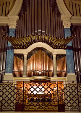 Organ