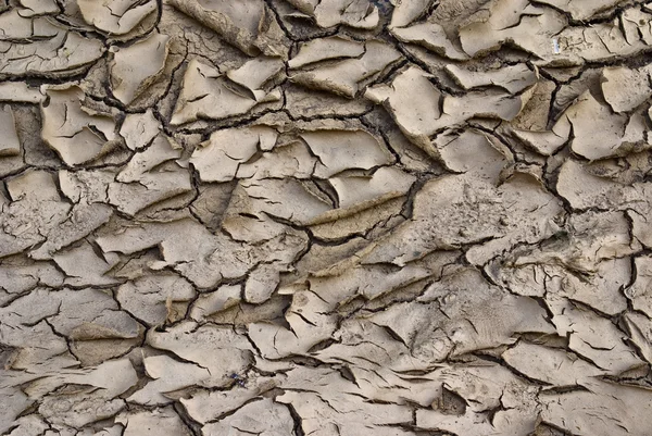 Abstrato arid fundo textura do solo — Fotografia de Stock