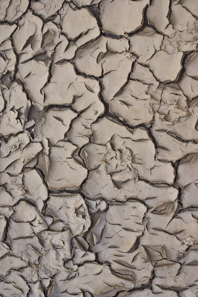Latar belakang tekstur tanah kering abstrak — Stok Foto