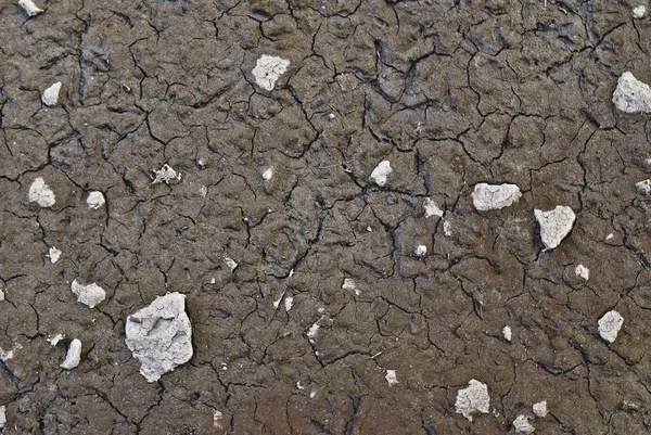 Abstrakt torra marken textur bakgrund — Stockfoto