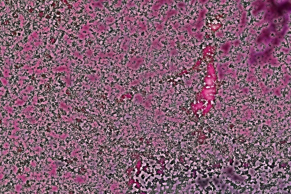 गोषवारा गुलाबी ग्रांज पोत पार्श्वभूमी — स्टॉक फोटो, इमेज