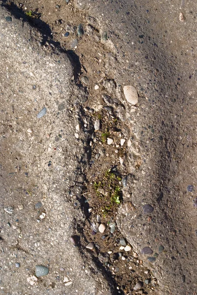 抽象的な乾燥した地面のテクスチャの背景 — ストック写真
