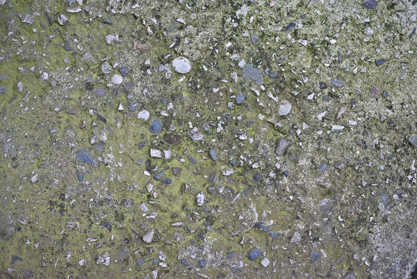 Soyut gri grunge doku arka plan — Stok fotoğraf