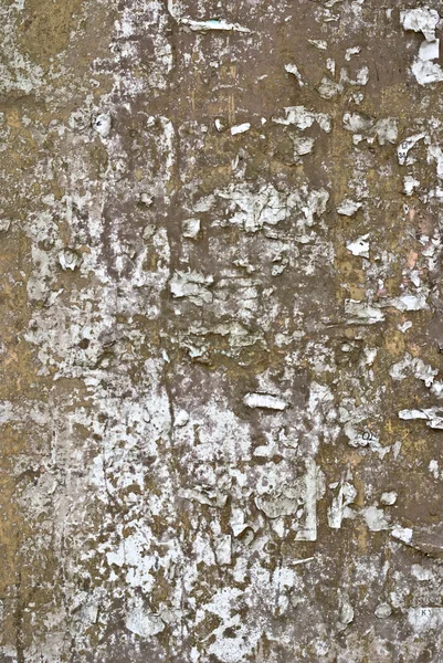 Eski grunge duvar dokusu — Stok fotoğraf