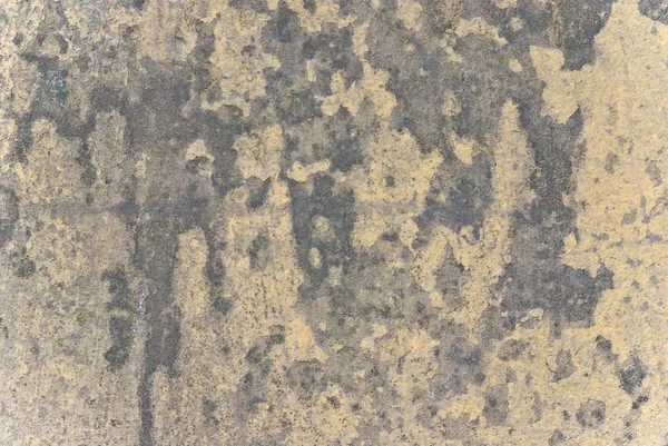 Tekstur dinding krem lama — Stok Foto