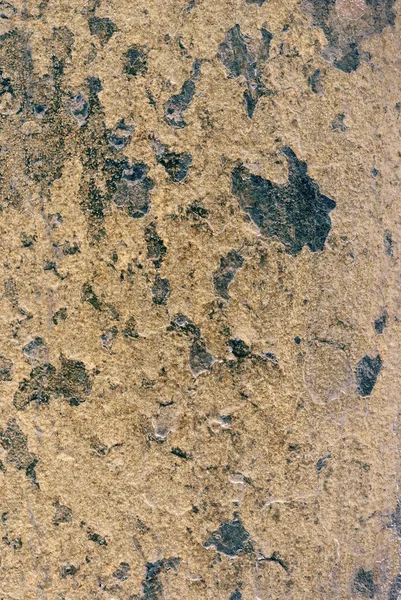 Макротекстура стены гранжа — стоковое фото