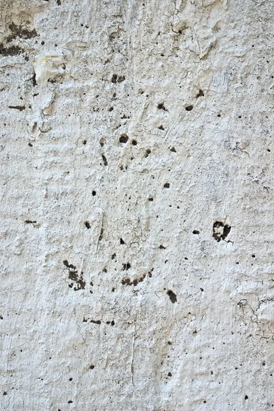 Стара світло-сіра текстура стін — стокове фото