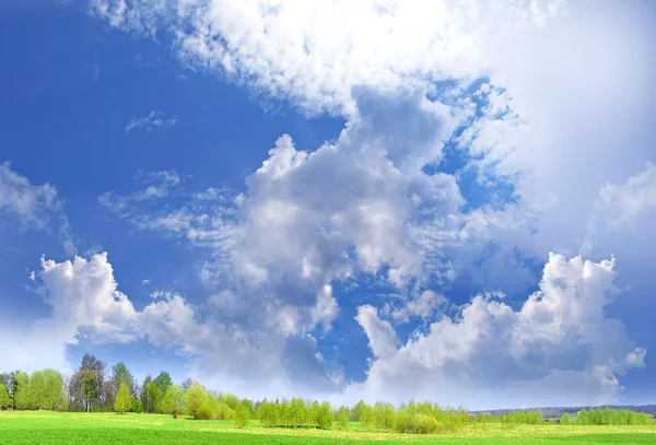 Frühlingslandschaft, grünes Feld und blauer bewölkter Himmel — Stockfoto