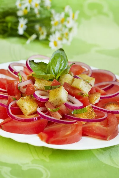 Tomatensalat mit Zwiebeln, Basilikum und Crackern — Stockfoto
