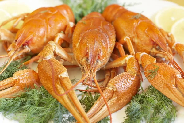 水煮螯虾 — 图库照片