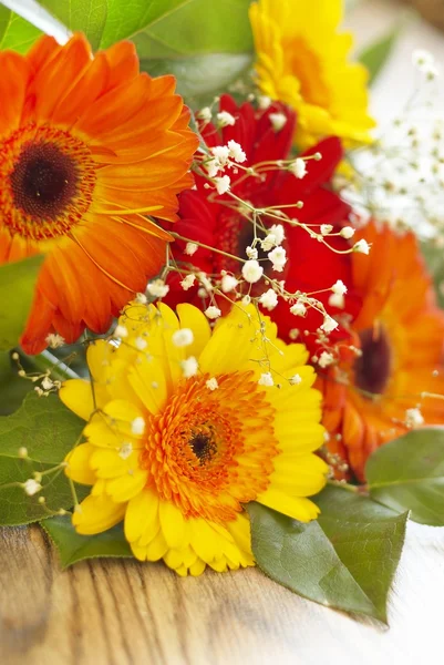 Bouquet di gerbera — Foto Stock