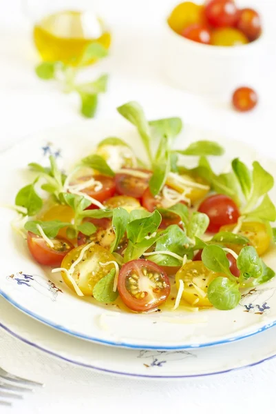 Variegated tomatoes salad with crackers and grated cheese — Stock Photo, Image