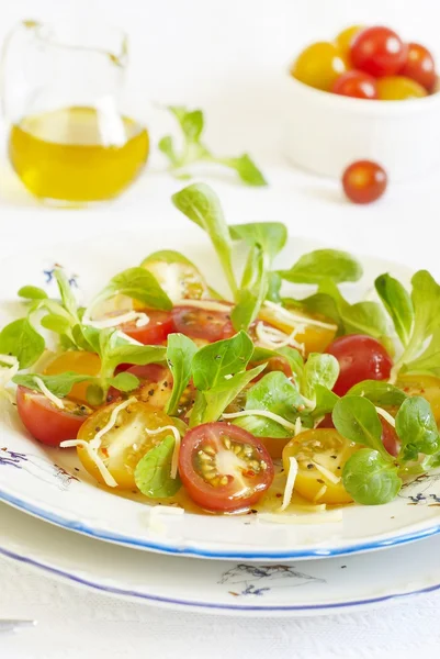 Bonte tomaten salade met crackers en geraspte kaas — Stockfoto