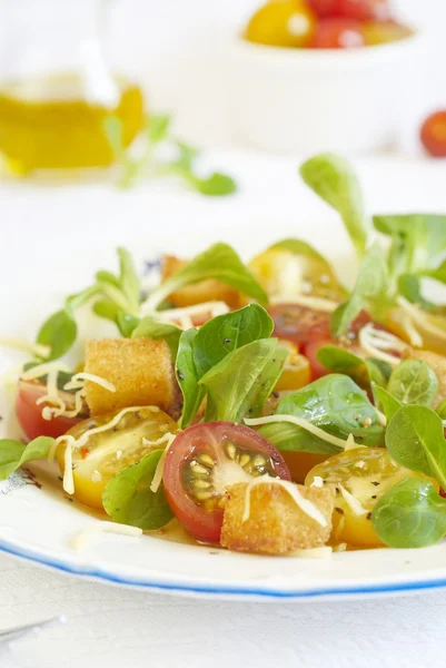 Bonte tomaten salade met crackers en geraspte kaas — Stockfoto