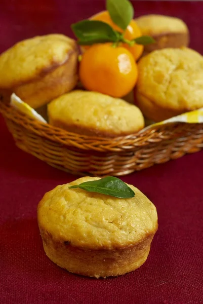 Citrus muffins — Stock Photo, Image
