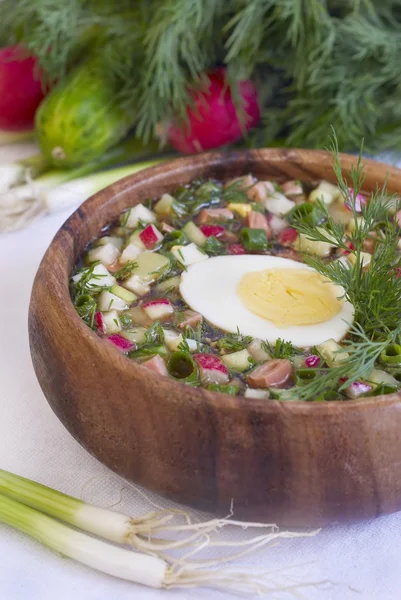 Traditional cold Russian soup — Stock Photo, Image