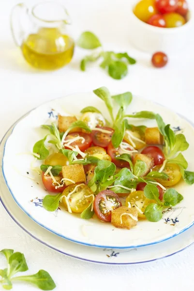 Variegated tomatoes salad with crackers and grated cheese — Stock Photo, Image