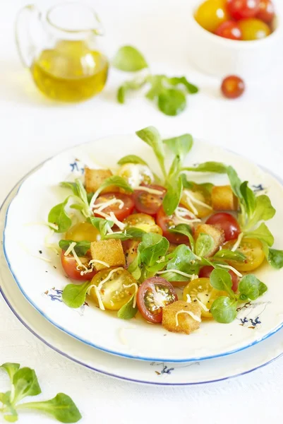 Salada de tomate variegada com bolachas e queijo ralado — Fotografia de Stock