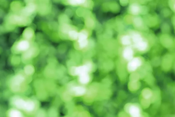 Bokeh embaçado verde abstrato para uso em segundo plano — Fotografia de Stock