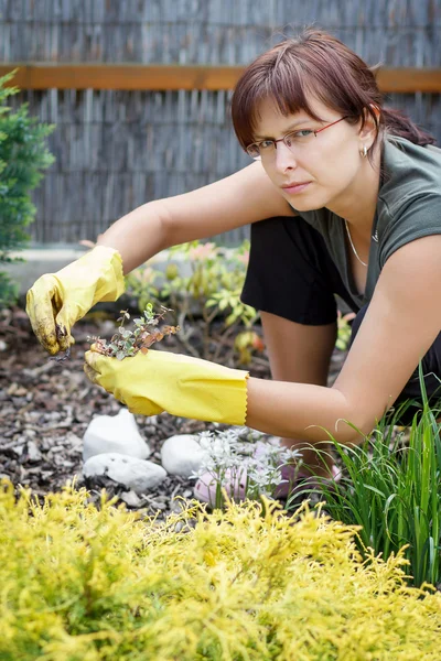 Middle age woman gardening in sunny day — Stock Photo, Image