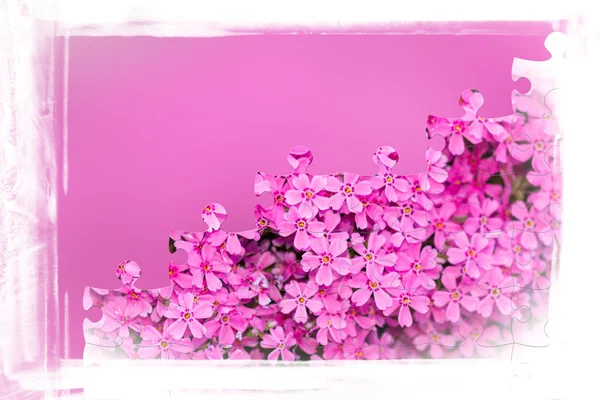 Rózsaszín virág virágok puzzle keret — Stock Fotó