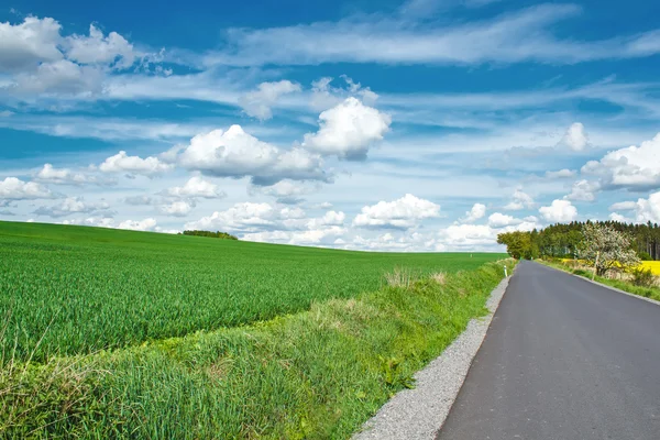 Hermoso paisaje rural de verano con carretera —  Fotos de Stock
