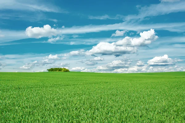 Vacker sommar landsbygdens landskap — Stockfoto
