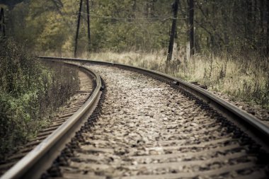 Railroad in autumn mystical weather clipart