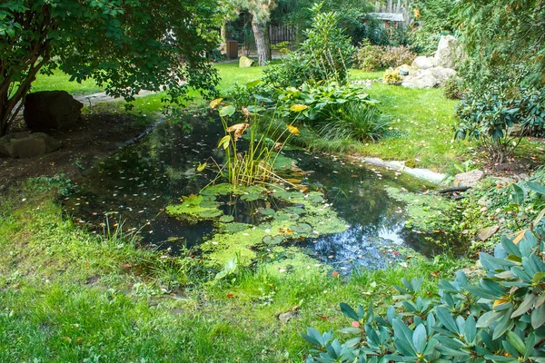 Sommarträdgård med damm — Stockfoto